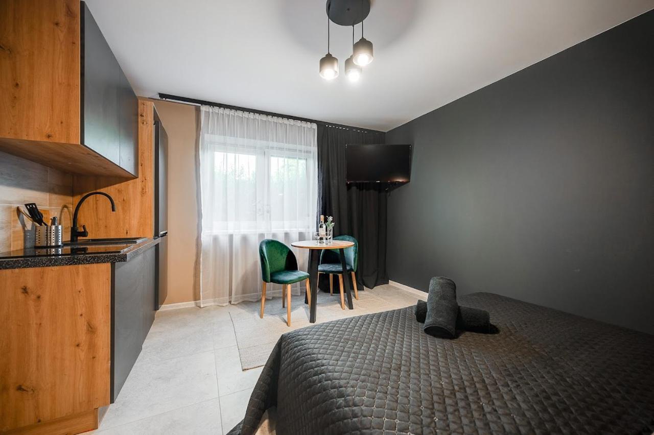 Loft House Apartment Studio Z Ogrodkiem 1 Rybnik  Exteriér fotografie